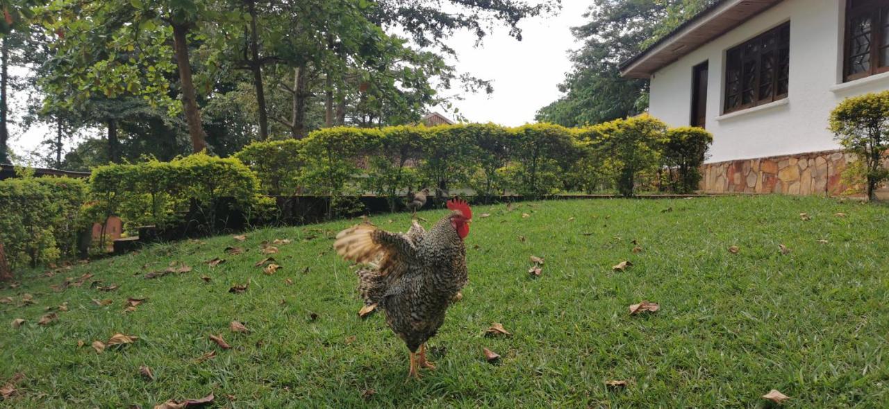 Jinja Nile Resort Экстерьер фото